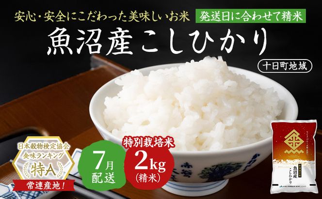 【令和7年産米】特別栽培米 魚沼産こしひかり(十日町地域) 精米 2kg 7月配送 お米 精米 こめ ご飯 白米 特別栽培  旧：五郎兵衛