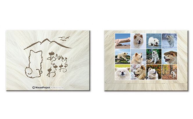 わさお ありがとう 絵葉書12枚セット キャラクター 写真 はがき 
