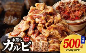 099H2301 焼き肉専門店 自家製タレ漬け 中落ちカルビ 合計500g（250g×2）