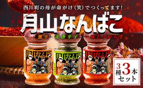 FYN9-528 山形県 西川町産 唐辛子使用！ 月山なんばこ 3種3本セット(激辛・一味・青唐辛子) 調味料 食品 香辛料 スパイス 唐辛子 とうがらし 辛い 手作り 命がけ 山形県 西川町 月山