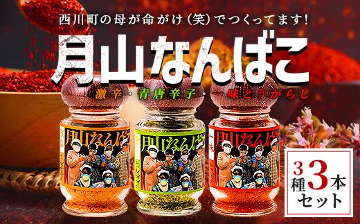 FYN9-528 山形県 西川町産 唐辛子使用！ 月山なんばこ 3種3本セット(激辛・一味・青唐辛子) 調味料 食品 香辛料 スパイス 唐辛子 とうがらし 辛い 手作り 命がけ 山形県 西川町 月山