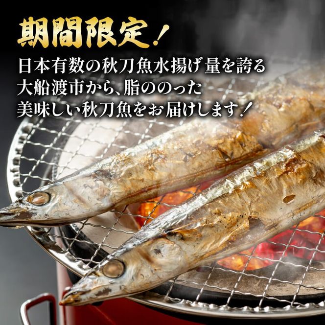 【期間限定】鮮さんま 大型 15本（1本約120g～130g) 冷蔵