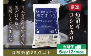【定期便／12ヶ月】ゆきまち米5kg 極上魚沼産コシヒカリ お米 こしひかり 魚沼産こしひかり