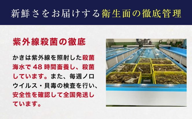 定期便 3ヶ月 北海道 厚岸産 牡蠣 Lサイズ 20個 (各回20個×3ヶ月分,合計60個) 殻付き 生食 カキナイフ付き かき カキ 生牡蠣 魚介類 貝 マルえもん