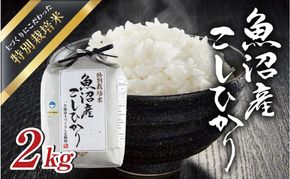 令和7年産 魚沼産 コシヒカリ 特別栽培米 2kg 米 こしひかり お米 コメ 新潟 魚沼 魚沼産 白米 送料無料 新潟県産 精米 産直 産地直送 契約農家 お取り寄せ 魚沼三昧 川治米店 新潟県 十日町市 もちもち 
