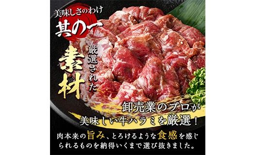 y啪szցES6 (2Ƃ̔) n~(3.6kg)     n~ ͂ t ē  BBQ Ⓚ 啪 syDH325zylNTz