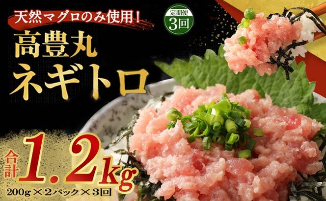 【定期便 / ３ヶ月連続】 土佐流藁焼きかつおのたたき１節と高豊丸ネギトロ４００ｇセット 魚介類 海産物 カツオ 鰹 わら焼き 高知 コロナ 緊急支援品 海鮮 冷凍 家庭用 訳あり 不揃い 規格外 連続 ３回 小分け 個包装 まぐろ マグロ 鮪 お手軽 藁 藁焼き かつお 室戸のたたき　tk064