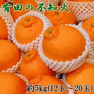 【濃厚】有田の不知火約5kg（12玉～20玉）
※2026年2月中旬～4月中旬頃に順次発送予定