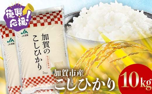 【通常発送】復興応援米 令和7年産こしひかり 10kg(5kg×2袋) 精米 銘柄米 お米 米 ギフト 贈り物 グルメ 食品 復興 震災 コロナ 能登半島地震 復興支援 北陸新幹線 F6P-3207