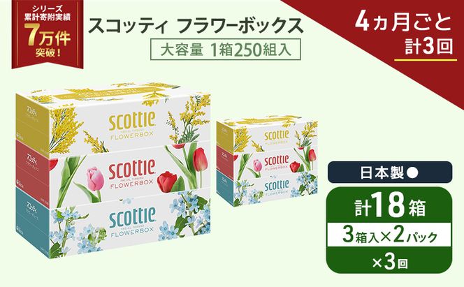 定期便 ティッシュ スコッティ フラワーボックス 3箱 × 2 パック《 4ヶ月ごと計 3回 》ティッシュセット