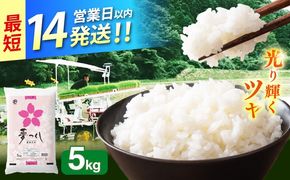 令和7年産　福岡県　夢つくし　5kg 《築上町》【カネガエ】[ABFA001]