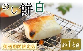 【先行予約】白のし餅【26年度9月以降順次発送】　｜ 餅 もち おもち お餅 モチ 焼餅 おやつ 冷凍