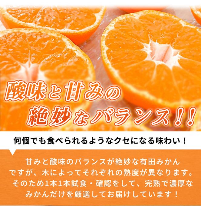 【2026年11月下旬頃より発送】完熟 有田みかん 10kg_G7047
