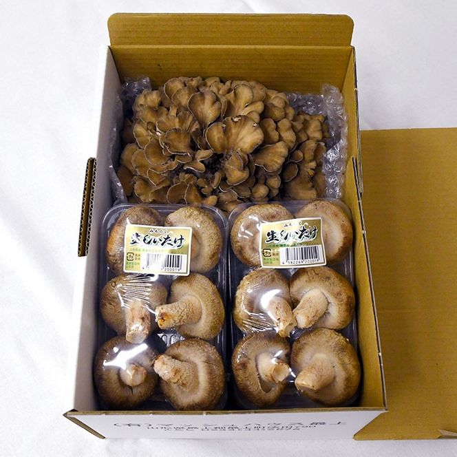 最上町産みちのくまいたけと椎茸セット