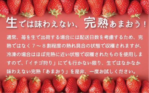 令和6年産 冷凍イチゴ3.5kg（あまおう）先行予約2024年4月以降順次発送　VZ002