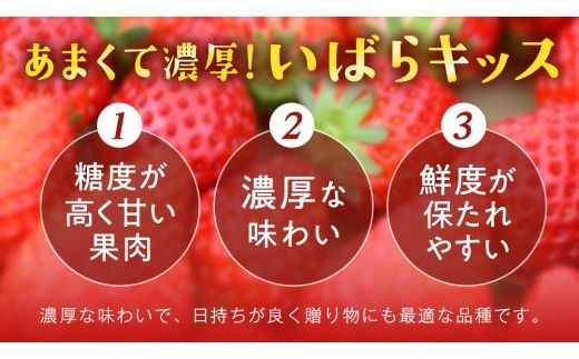 【 先行予約 】 訳あり いちご いばらキッス 800g 【 2027年2月以降発送 】  （常陸太田市 共通返礼品 ) 苺 果物 くだもの フルーツ 不揃い ジャム
