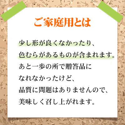 【2026年8月下旬より発送】ご家庭用 岡山県産 シャインマスカット 晴王 500g×2房 ぶどう 葡萄 ブドウ フルーツ 果物