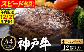 神戸牛 生ハンバーグ （100g×12個） 【帝神志方ミート】【12/21までの受注分年内発送】