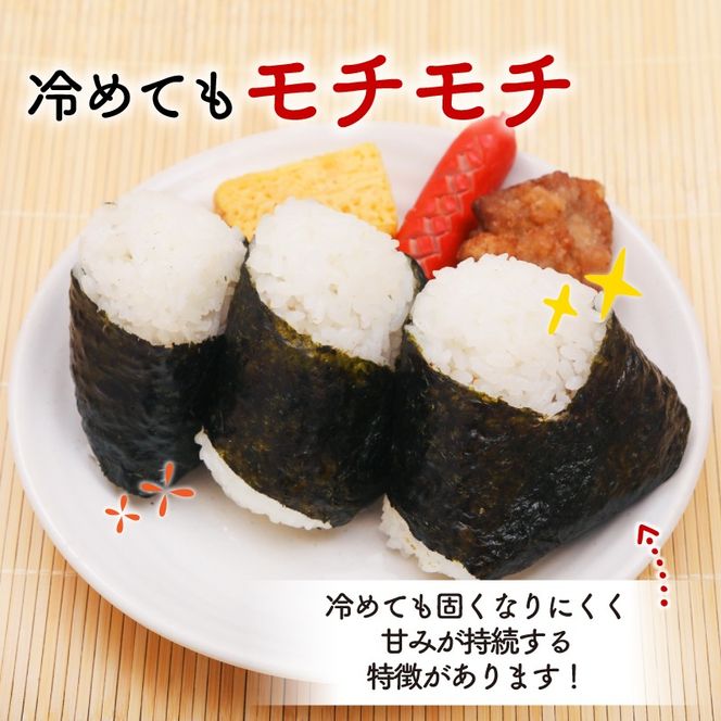 米 令和7年度産 ひとめぼれ 10kg | 2025年産 白米 お米 精米 ご飯 ごはん はくまい こめ コメ rice ライス おすすめ お粥 おにぎり 朝食 昼食 夕食 国産 常温 常温保存 10キロ 岩手県 大船渡市 大船渡