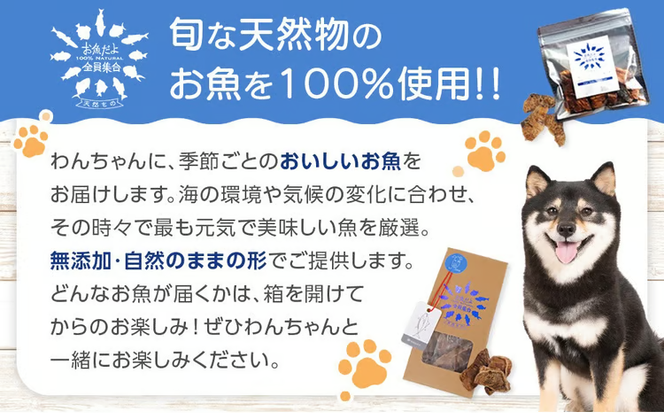 お魚だよ全員集合　季節のアソートセット 5,000円セット　ワンちゃん用｜ペット おやつ 犬 ペットフード