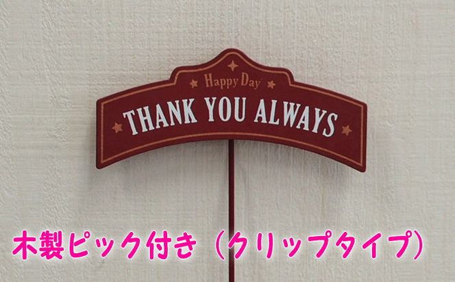 【母の日 ギフト】ブルー・パープルの 寄せ植え（舟形Mサイズ）1個（オンライン決済限定） 植物 