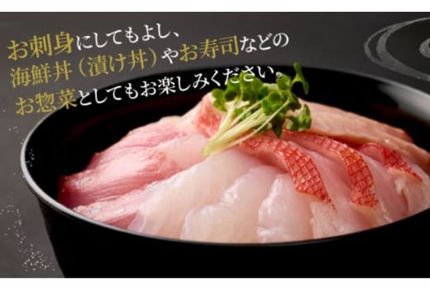 ほんとにおいしい！室戸のお刺身　３～５種盛り合わせお楽しみセット2人前 刺身 刺身盛り合わせ 旬の鮮魚 高知県産 鮮魚 海鮮丼 漬け丼 寿司 惣菜 10000円