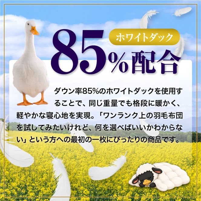羽毛布団 Royalシリーズ ホワイトダックダウン85% 本掛け 冬用【セミダブル】360dp以上 ホテル仕様 完全国内生産 北海道滝川市