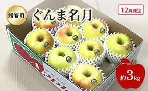 【12月発送】 りんご ぐんま名月 贈答用 約 3kg 林檎 フルーツ 果物 ギフト 青森県 鶴田町
