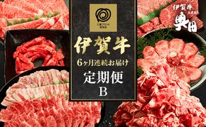 伊賀牛 6ヶ月連続お届け 定期便 B [ 伊賀牛切り落とし 焼肉セット5人盛り すき焼きセット 伊賀牛ステーキセット 伊賀牛ユッケ 伊賀牛タン ] オクダ 牛肉 高級 和牛 肉 伊賀牛肉  伊賀 人気 自宅用 グルメ お取り寄せ 誕生日 お祝い  贅沢 三重