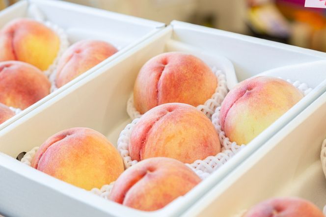 糖度13度以上　【最高品質】限定品　一宮のプレミアム桃　1.6ｋｇ以上（5玉） 168-004