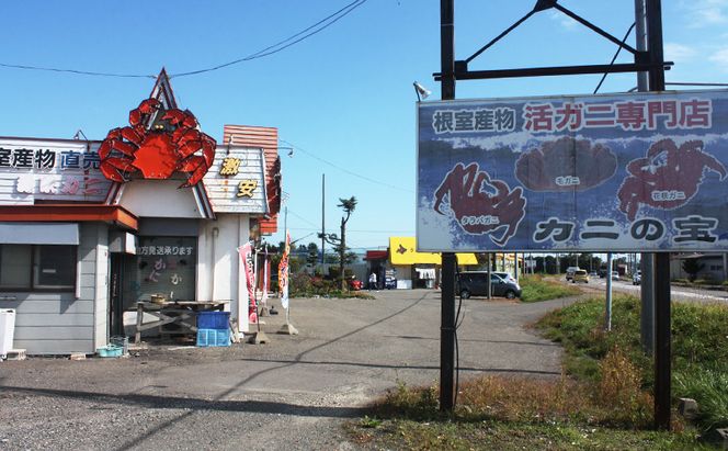 ［冷蔵便］茹でたて直送！北海道産 朝茹で 花咲ガニ 約700g×1尾【 かに カニ 蟹 花咲ガニ 花咲蟹 海鮮 魚介 海の幸 海産物 家庭用 冷蔵 北海道 十勝 幕別 】