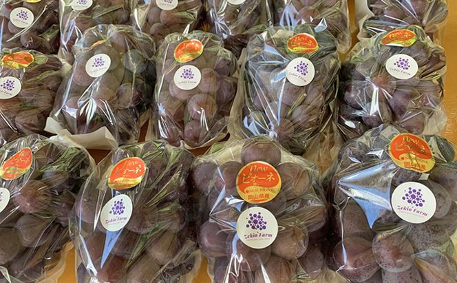 ニュー ピオーネ 1kg前後 2房 葡萄 フルーツ 岡山 高梁市産 ぜきお農園 ぶどうclub 2026年 先行予約 果物 