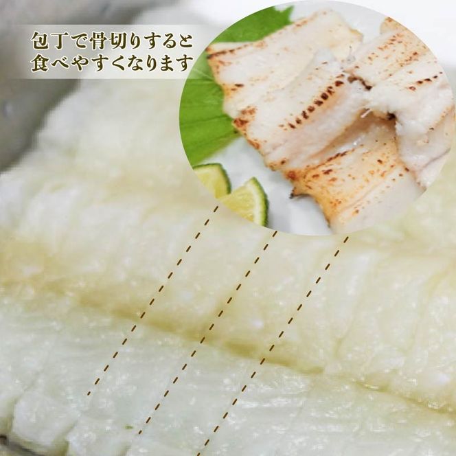 あなご開き 2～3パック(計800g) あなご 蒲焼 お吸い物 天ぷら 煮穴子 和食 海産物 味噌汁 ごはん 夕飯 おかず 大船渡 三陸 岩手県 国産 [shitabo012]