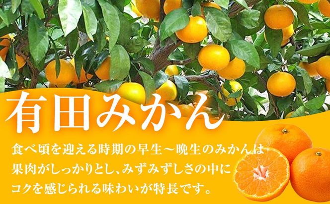 有田みかん専門店 有田の太陽®ファミリー 早生または晩生 有田みかん 4.5kg＋補償分100g 山採れ・サイズ・等級 混合 FH05