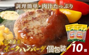 宮崎県産 ポークハンバーグ個包装(10個/冷凍) K16_0163