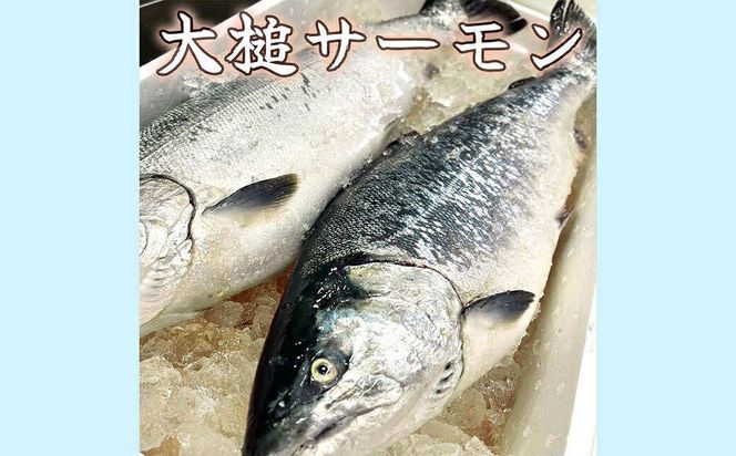大槌サーモンづくし(バター焼き、西京漬け、粕漬け、塩麴漬け、ひと塩の5種類)セット【0tsuchi01077】