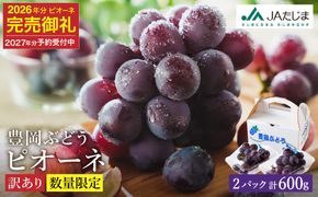 【2027年先行予約】数量限定 訳あり 豊岡ぶどう「ピオーネ」 約300g×2パック ／ ぴおーね ブドウ 葡萄 訳ありぶどう 大粒 強い甘み 爽やかな酸味 新鮮 果物 産地直送 くだもの フルーツ 上品 香り