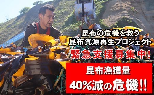 【CF】雑海藻から海を守り、日本の食文化である昆布の漁場の再生支援寄附 ＜１口 10,000円 より＞