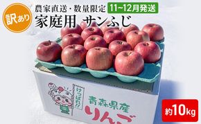 【 農家直送 数量限定 】 11～12月発送 家庭用 サンふじ 約 10kg 【 訳あり 】  果物 フルーツ 青森りんご シャキシャキ 