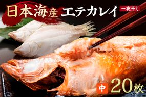 【店主一押し！絶品干物！高リピート！】エテカレイ一夜干し　中サイズ（朝食サイズ）20枚　YK00153