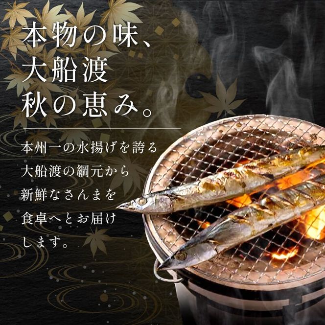 さんま 15尾 冷蔵 鮮秋刀魚 数量限定 [発送:2026年9月～2026年11月下旬頃まで] 三陸 岩手 大船渡市 [kama017]