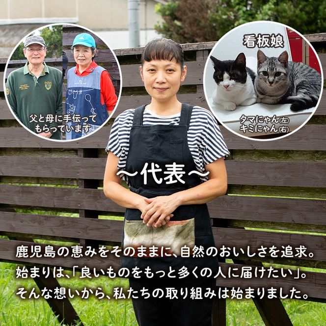 isa418 ＜数量限定＞ジャム菓子(紅はるか味・計16個) 詰め合わせ 洋菓子 菓子 焼き菓子 ジャム さつまいも 紅はるか ギフト 【薩摩美食倶楽部】