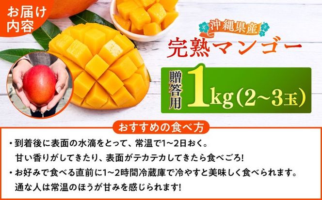 【優秀賞受賞】沖縄県産 完熟マンゴー 贈答用 1kg (2〜3玉) マンゴー 沖縄 果物 フルーツ ギフト 沖縄市 / MAIFARM[BCAN001]