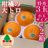 お試し規格 柑橘の大トロ ハウス せとか 厳選 小玉 3玉入 手さげ箱 × 2箱 南泰園 和歌山 有田　BS194