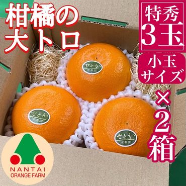 お試し規格 柑橘の大トロ ハウス せとか 厳選 小玉 3玉入 手さげ箱 × 2箱 南泰園 和歌山 有田　BS194