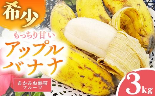 【希少栽培種】あかみね熱帯フルーツのアップルバナナ約3kg