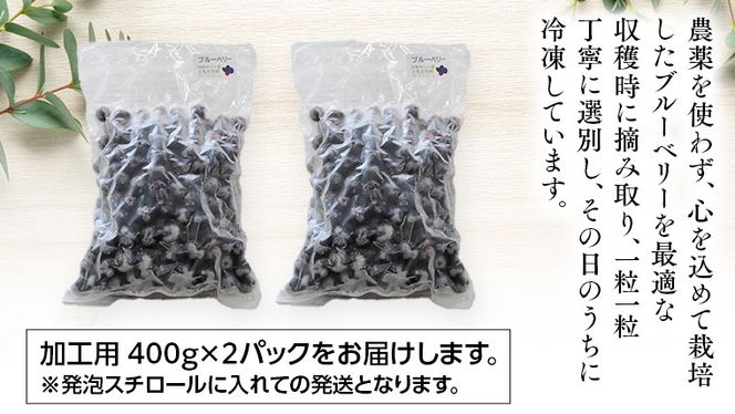 つくばみらい市 産 冷凍 ブルーベリー 800g ( 400g ×2パック ) 国産 農薬無使用 自家農場 果物 就労継続支援 フルーツ おいしい 冷凍ブルーベリー フリーズ ［DG02-NT］