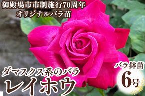 バラ鉢苗「レイホウ」 | 薔薇 鉢 苗 苗木 ※2026年4月頃より順次発送予定 ※離島への配送不可