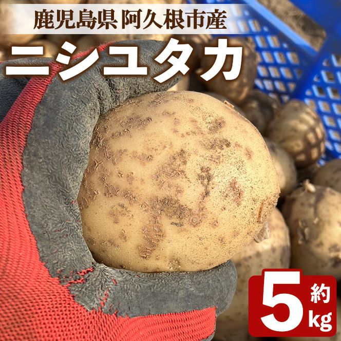 ＜先行予約受付中！2026年6月以降順次発送予定＞じゃがいも ニシユタカ(5kg) 国産 鹿児島県産 阿久根市産 じゃがいも ジャガイモ 芋 ポテト にしゆたか 野菜 期間限定 数量限定 ポテトサラダ コロッケ 常温 常温配送 【慶越農園】akn107-09
