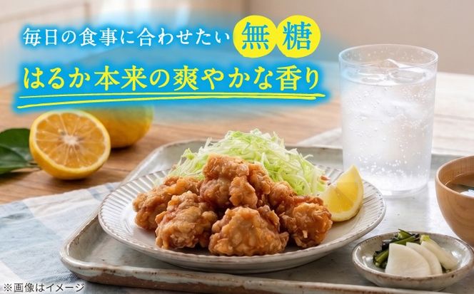 【期間限定】糸島はるかの炭酸水 500ml×24本入り 糸島市 / スターナイン [ARM021] 炭酸水 ペットボトル 500ml 24本 2ケース 無糖 みかん 柑橘 ドリンク